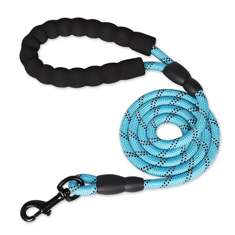 blue colored dog leash