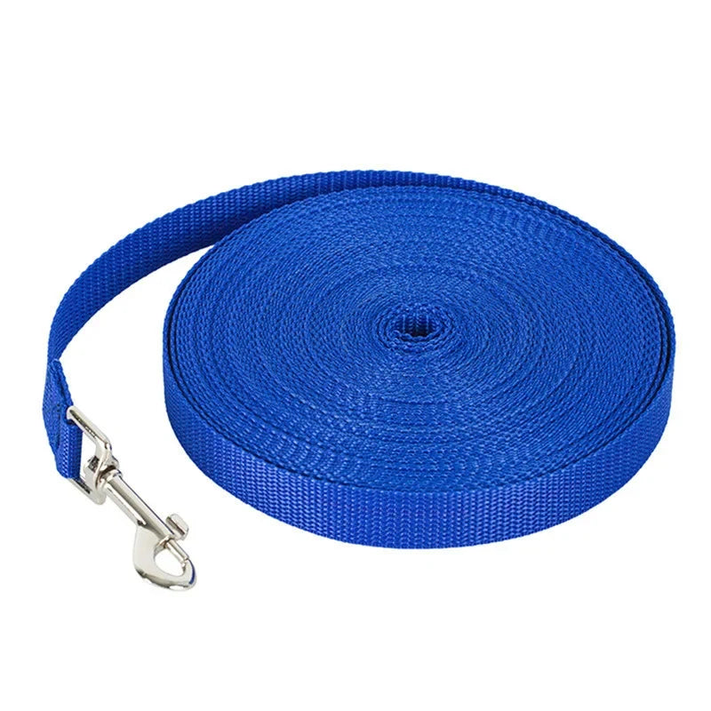blue leash