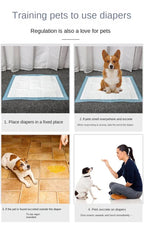 how to train dogs on pee pads