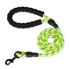 green leash