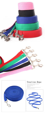 leash colors displayed