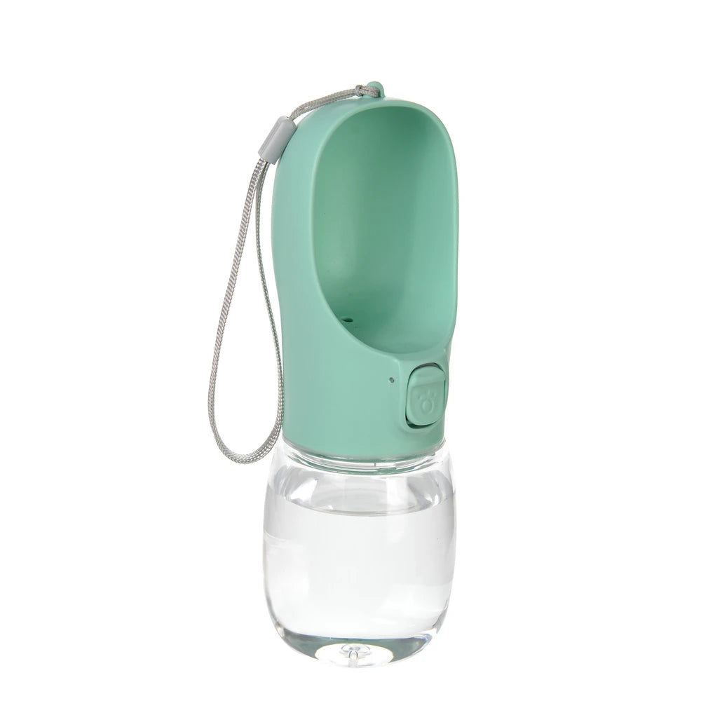 light green color water bottle display
