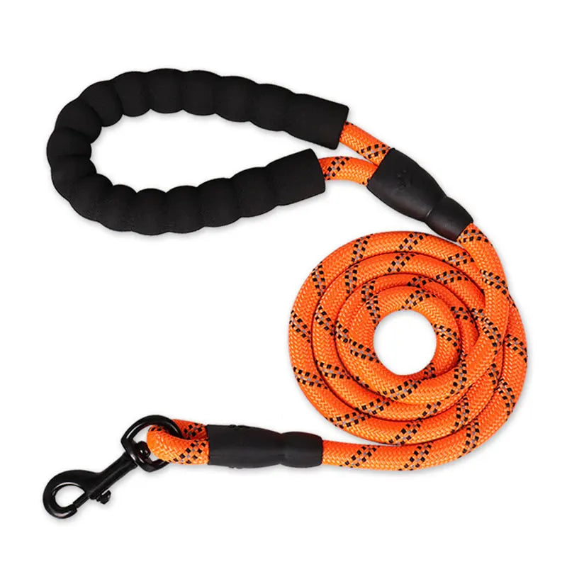 orange dog leash