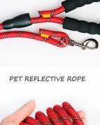 reflective leash