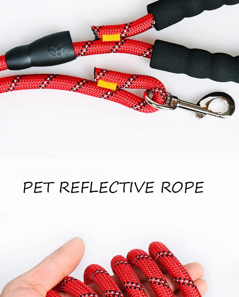 reflective leash