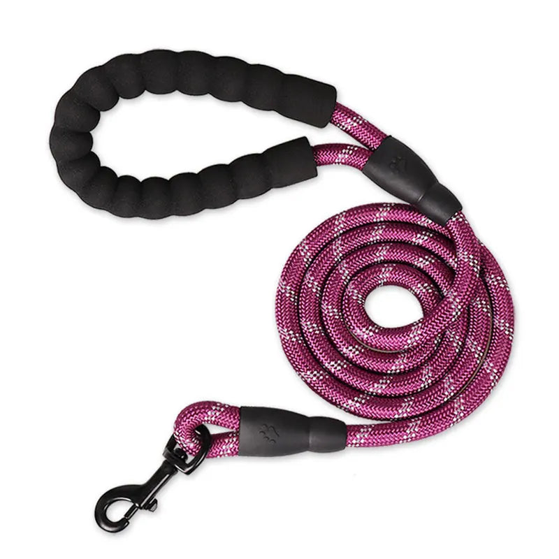 purple leash