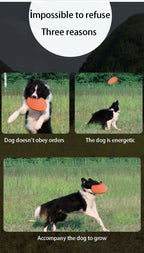 reasons to buy frisbee
