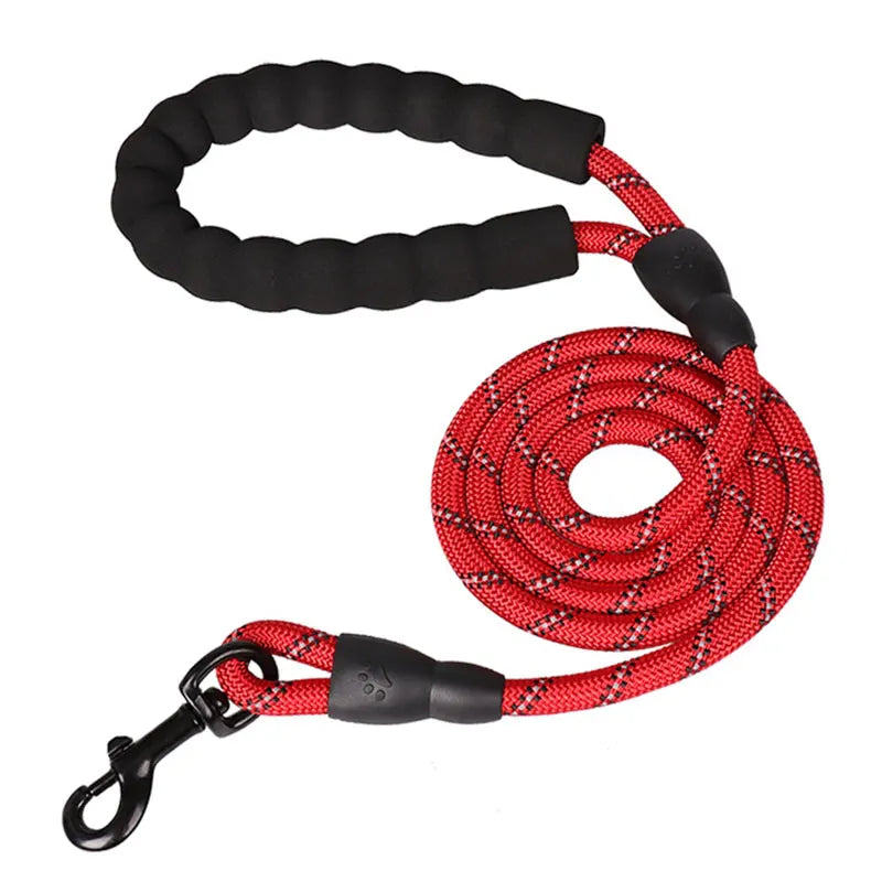 red colored leash