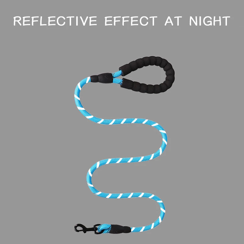reflective blue leash